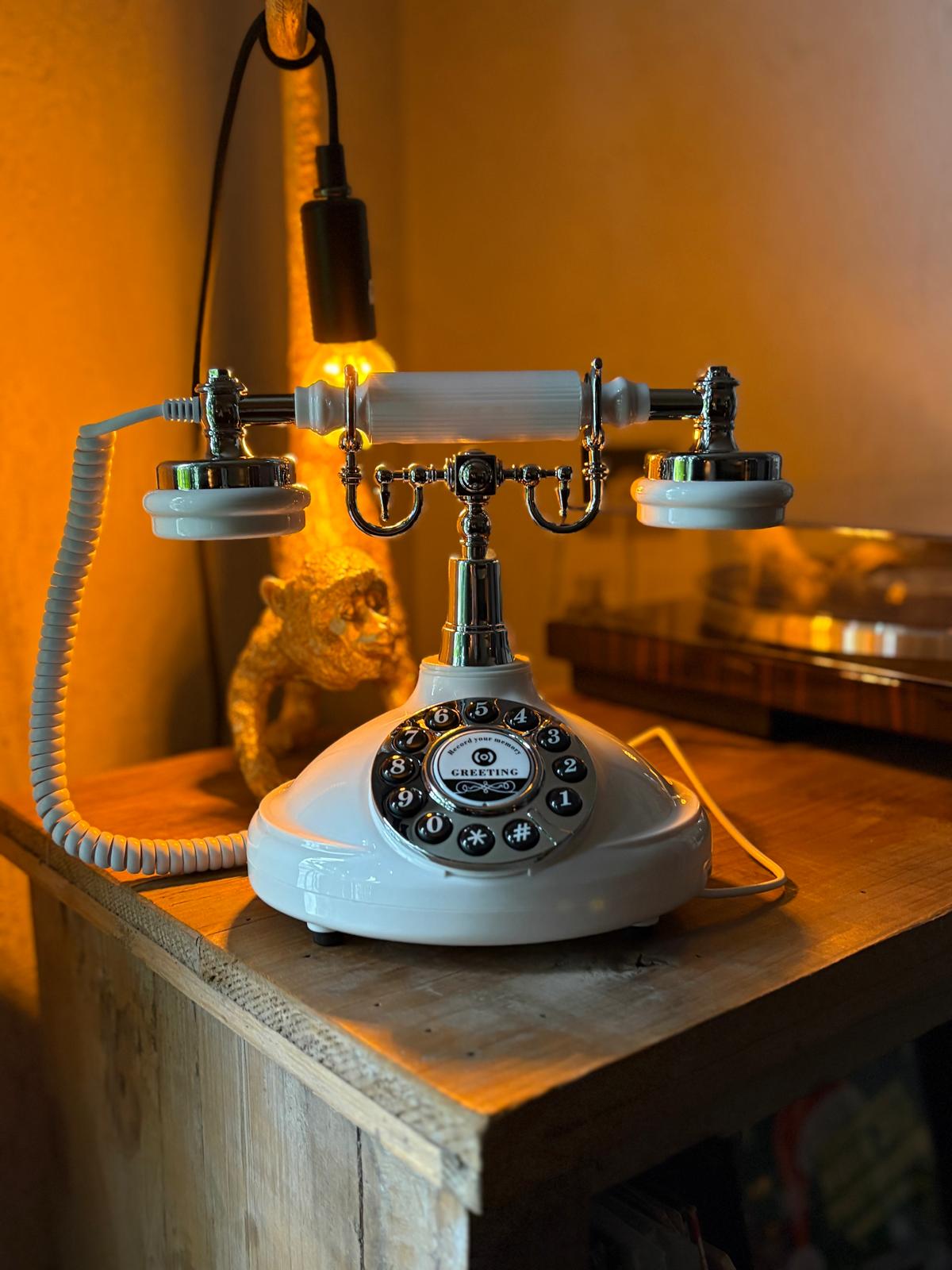 Audioguestbook huren in Zaanstad en Noord-Holland